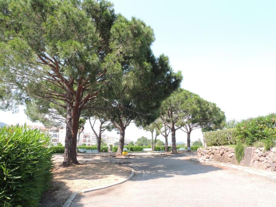 Ginkgo Studio - Piscine, Proche De La Mer, Golf, Wifi Mandelieu Esterno foto
