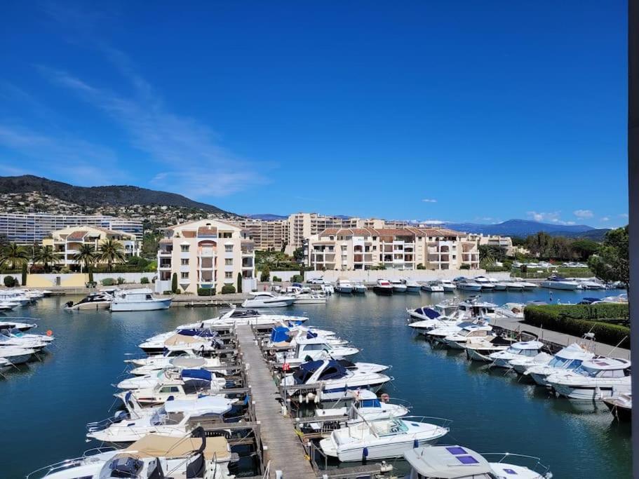 Ginkgo Studio - Piscine, Proche De La Mer, Golf, Wifi Mandelieu Esterno foto